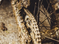 auner-OEEC-Guttaring-2022-Gruppe 1-088