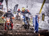 auner-OEEC-Guttaring-2022-Gruppe 2-007