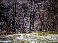 auner-OEEC-Guttaring-2022-Gruppe 2-028