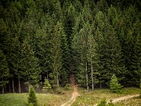 Mountainendurofb (1 von 1)-68