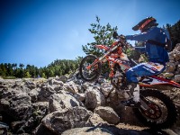 Schotter (1 von 1)-22