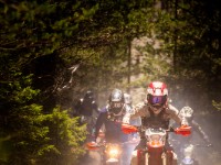 Mountain Wald (1 von 1)-12