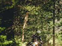 Mountain Wald (1 von 1)-13