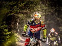 Mountain Wald (1 von 1)-15