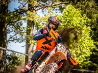 Mountain Wald (1 von 1)-17