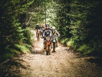 Mountain Wald (1 von 1)-2