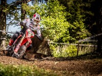 Mountain Wald (1 von 1)-23