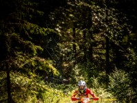 Mountain Wald (1 von 1)-29