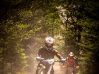 Mountain Wald (1 von 1)-3