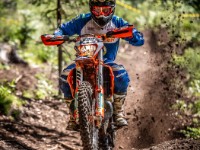 Mountain Wald (1 von 1)-34