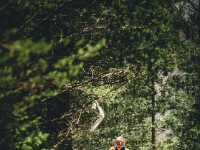 Mountain Wald (1 von 1)-4