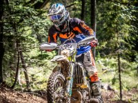 Mountain Wald (1 von 1)-43