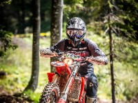 Mountain Wald (1 von 1)-47