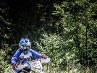 Mountain Wald (1 von 1)-59