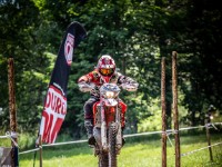 Mountain Wald (1 von 1)-63