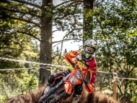 Mountain Wald (1 von 1)-66