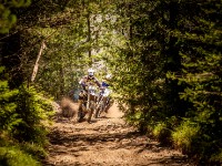 Mountain Wald (1 von 1)-7