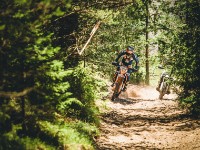 Mountain Wald (1 von 1)