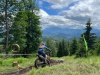 b332e3eb-28c2-45d0-be34-a8ee40a78bcc