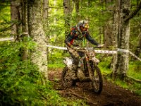 prampram (1 von 1)-13