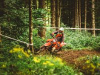 prampram (1 von 1)-37