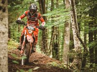 pramprampram (1 von 1)-10