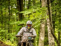 pramprampram (1 von 1)-11