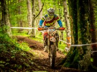 pramprampram (1 von 1)-23