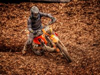 pramprampram (1 von 1)-28