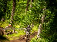 pramprampram (1 von 1)-5