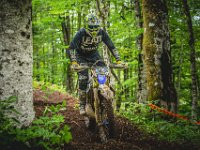 pramprampram (1 von 1)-7